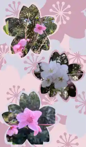 多治速比売神社(大阪府)