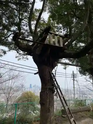 荷松院幸大寺(兵庫県)