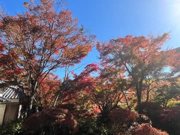 常樂寺(滋賀県)