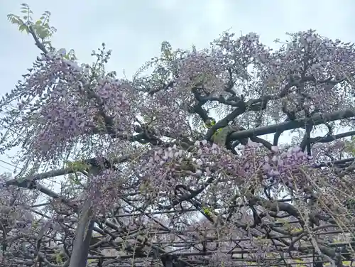 竹鼻別院(岐阜県)