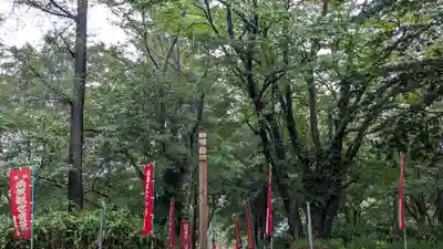 観音寺奥之院の自然
