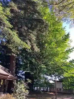 鹿嶋神社の自然