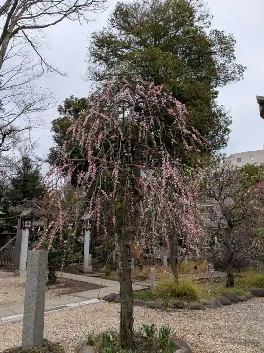 布多天神社(東京都)
