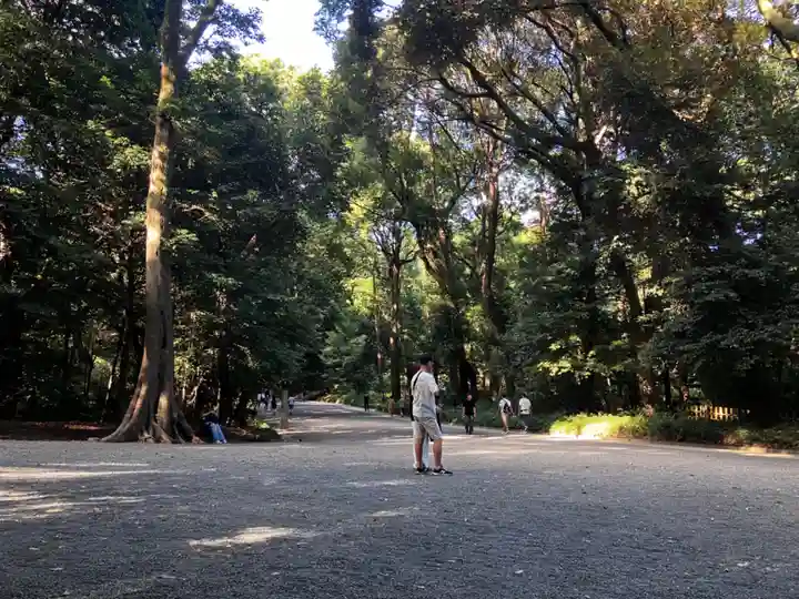 明治神宮の景色