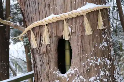 阿久津「田村神社」（郡山市阿久津町）旧社名：伊豆箱根三嶋三社の自然