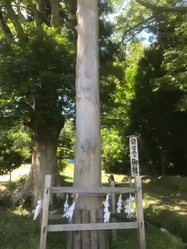 諏訪大社上社前宮(長野県)