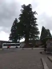 戸隠神社中社の建物その他