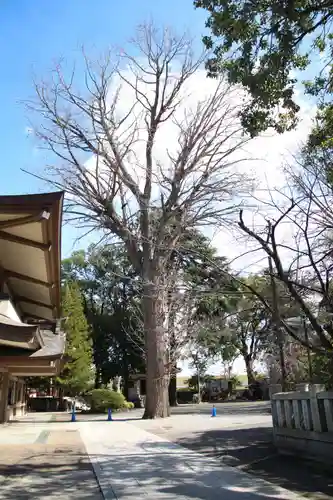 葛西神社(東京都)