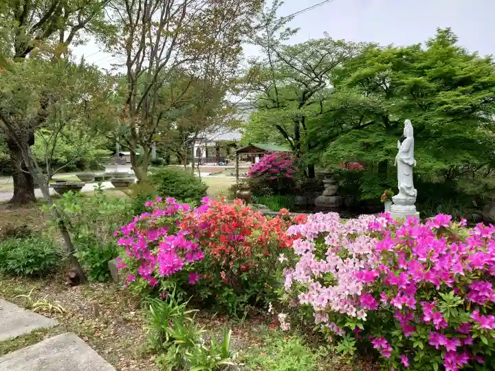 徳林寺の{uncategorized: "未分類", other: "その他", undefined: "問題あり", building: "その他建物", grave: "お墓", sacred_gate: "鳥居", guardian: "狛犬", statue: "像", buddha: "仏像", history: "歴史", nature: "自然", garden: "庭園", animal: "動物", pagoda: "塔", temizu: "手水舎", mountain_gate: "山門・神門", sanctuary: "本殿・本堂", subordinate: "末社・摂社", art: "芸術", scenery: "景色", jizo: "地蔵", ema: "絵馬", goshuin: "御朱印", omikuji: "おみくじ", items: "授与品その他", amulet: "お守り", goshuincho: "御朱印帳", eats: "食事", festival: "お祭り", votive_dance: "神楽", shichigosan: "七五三参", wedding: "結婚式", experience: "体験その他", initially: "初詣", around: "周辺", anti_infection: "感染症対策"}