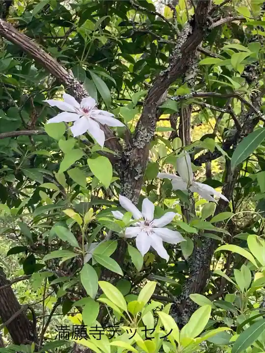 満願寺(長野県)