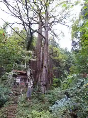 軍刀利神社のその他建物