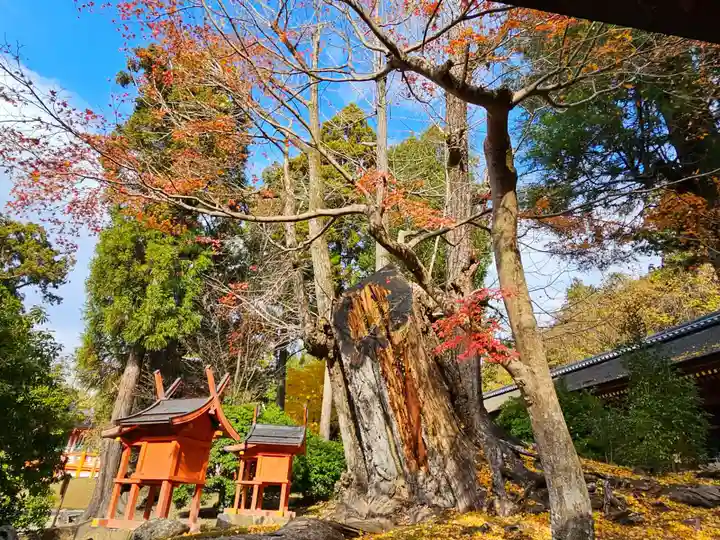 春日大社(奈良県)