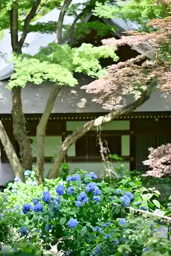 高幡不動尊　金剛寺の自然