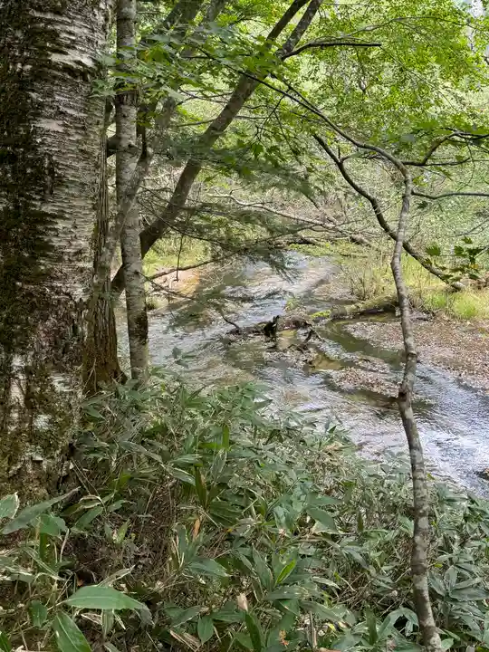 穂高神社奥宮の自然