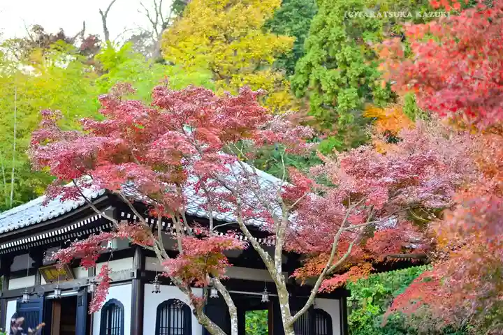 長谷寺(神奈川県)