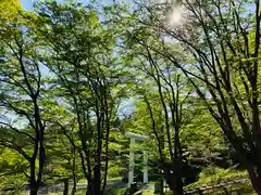 土津神社｜こどもと出世の神さまの建物その他