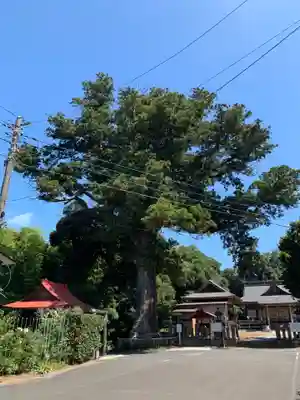 松澤 熊野神社(千葉県)
