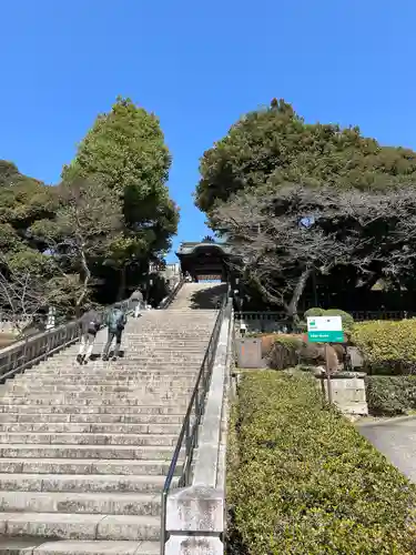 宇都宮二荒山神社(栃木県)
