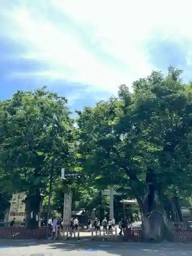 大國魂神社(東京都)