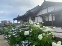 王子山薬師寺の本殿・本堂
