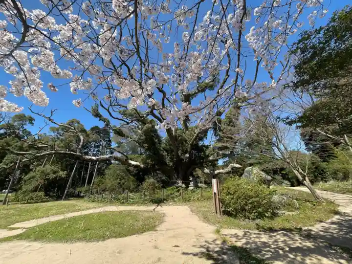 クスの森若宮神社の自然