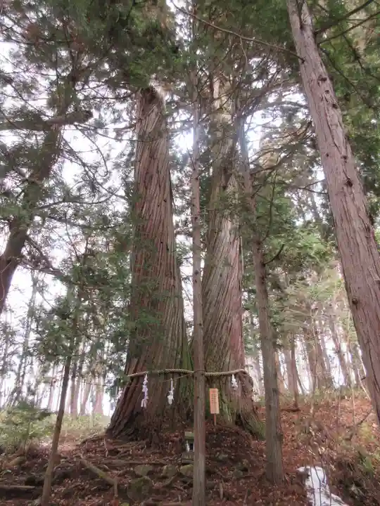 戸隠神社火之御子社のその他建物