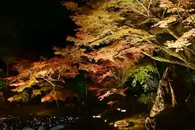 宝厳院(京都府)