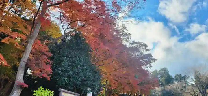 志波彦神社・鹽竈神社(宮城県)