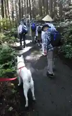 丹生都比売神社(和歌山県)