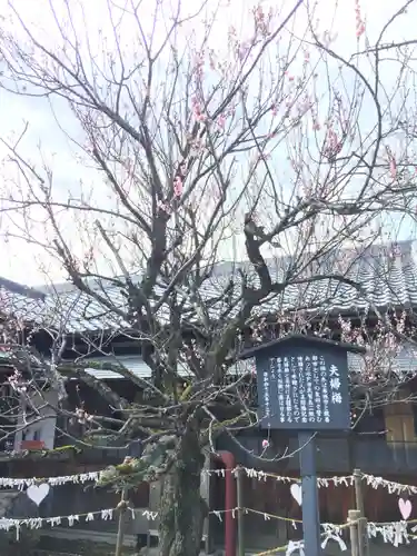 滋賀県護国神社の自然