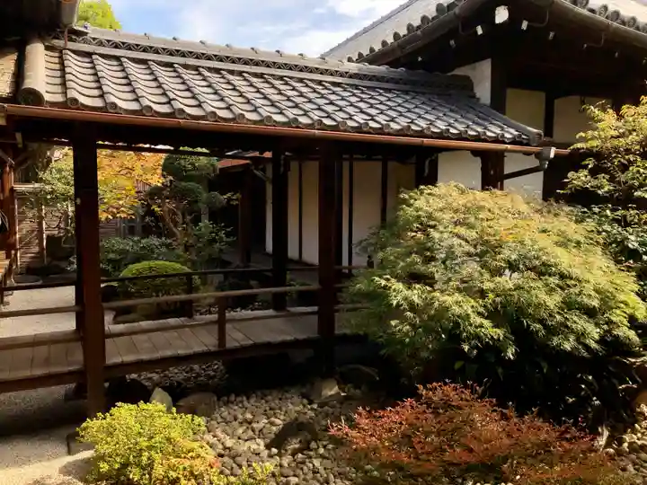 観智院(東寺子院)の庭園