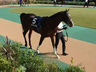 東京競馬場馬頭観音(広島県)