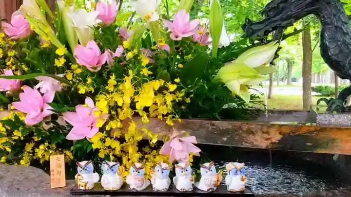 彌彦神社 (伊夜日子神社)の手水舎