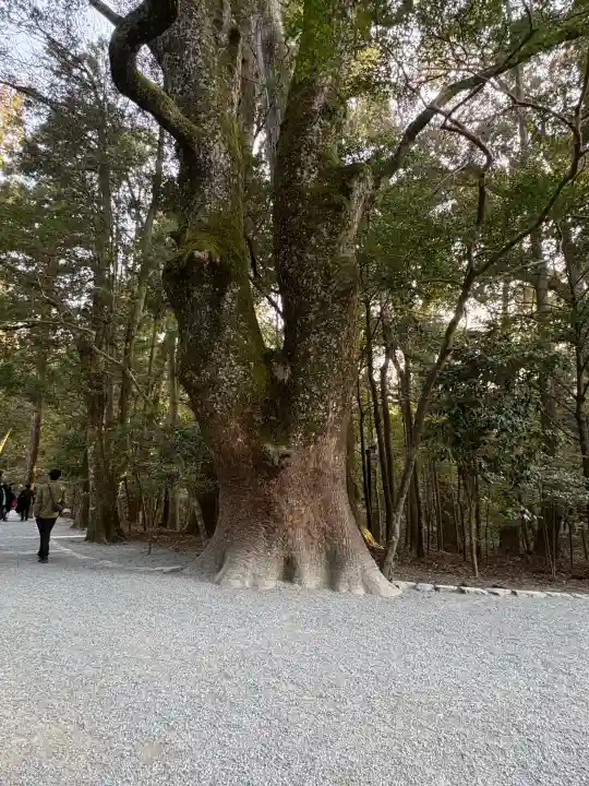伊勢神宮内宮(皇大神宮)の{uncategorized: "未分類", other: "その他", undefined: "問題あり", building: "その他建物", grave: "お墓", sacred_gate: "鳥居", guardian: "狛犬", statue: "像", buddha: "仏像", history: "歴史", nature: "自然", garden: "庭園", animal: "動物", pagoda: "塔", temizu: "手水舎", mountain_gate: "山門・神門", sanctuary: "本殿・本堂", subordinate: "末社・摂社", art: "芸術", scenery: "景色", jizo: "地蔵", ema: "絵馬", goshuin: "御朱印", omikuji: "おみくじ", items: "授与品その他", amulet: "お守り", goshuincho: "御朱印帳", eats: "食事", festival: "お祭り", votive_dance: "神楽", shichigosan: "七五三参", wedding: "結婚式", experience: "体験その他", initially: "初詣", around: "周辺", anti_infection: "感染症対策"}