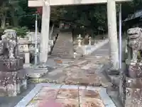 厳原八幡宮神社の狛犬