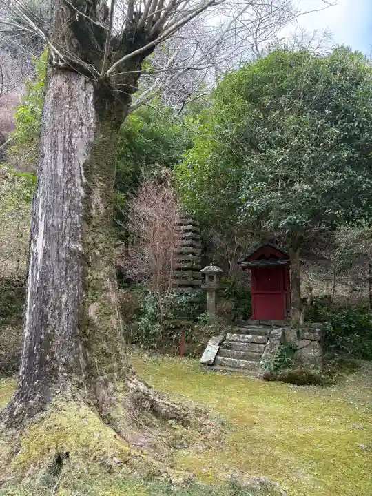 神童寺の{uncategorized: "未分類", other: "その他", undefined: "問題あり", building: "その他建物", grave: "お墓", sacred_gate: "鳥居", guardian: "狛犬", statue: "像", buddha: "仏像", history: "歴史", nature: "自然", garden: "庭園", animal: "動物", pagoda: "塔", temizu: "手水舎", mountain_gate: "山門・神門", sanctuary: "本殿・本堂", subordinate: "末社・摂社", art: "芸術", scenery: "景色", jizo: "地蔵", ema: "絵馬", goshuin: "御朱印", omikuji: "おみくじ", items: "授与品その他", amulet: "お守り", goshuincho: "御朱印帳", eats: "食事", festival: "お祭り", votive_dance: "神楽", shichigosan: "七五三参", wedding: "結婚式", experience: "体験その他", initially: "初詣", around: "周辺", anti_infection: "感染症対策"}