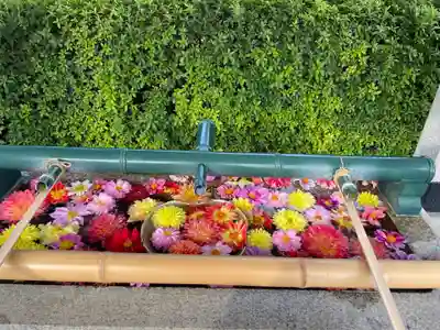 伊和志津神社(兵庫県)