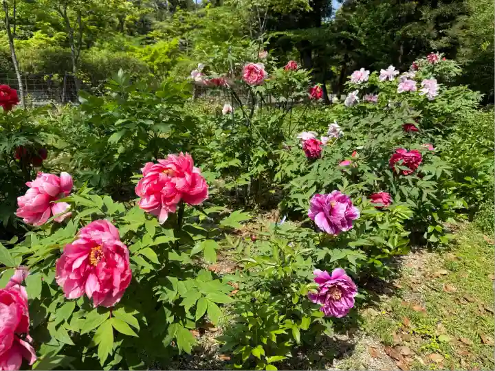 園城寺(三井寺)(滋賀県)
