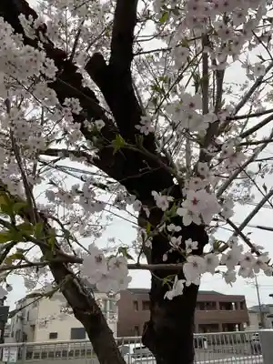 川嶋神社(川村町)(愛知県)