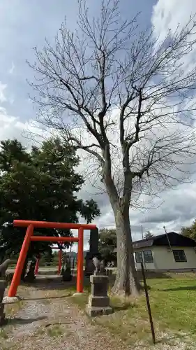 千代田稲荷神社(北海道)