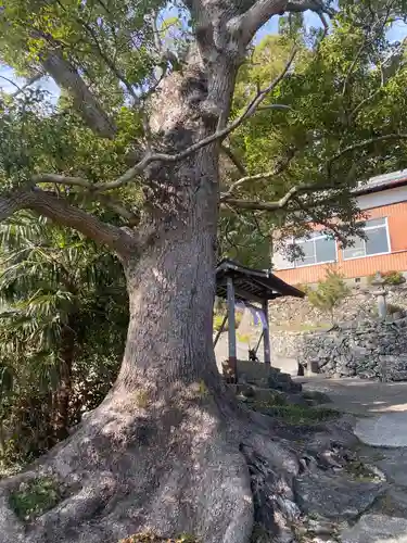 宮原神社の自然