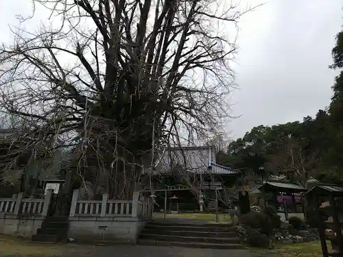 本國寺の本殿・本堂