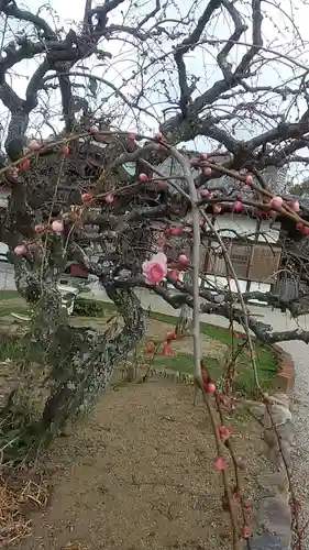 比佐豆知神社(三重県)