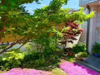 寿量山　速成寺(奈良県)