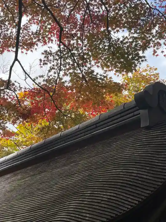 龍安寺(京都府)