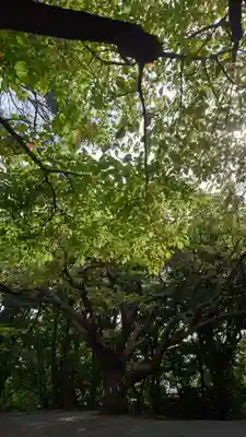 相馬神社(北海道)