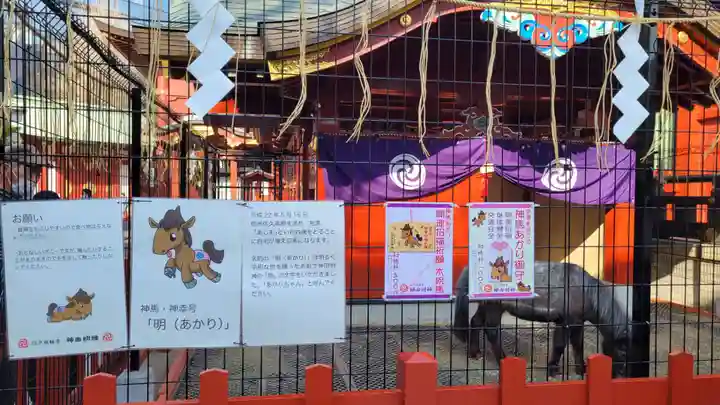 神田神社(神田明神)の動物