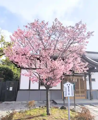 葛飾八幡宮の{uncategorized: "未分類", other: "その他", undefined: "問題あり", building: "その他建物", grave: "お墓", sacred_gate: "鳥居", guardian: "狛犬", statue: "像", buddha: "仏像", history: "歴史", nature: "自然", garden: "庭園", animal: "動物", pagoda: "塔", temizu: "手水舎", mountain_gate: "山門・神門", sanctuary: "本殿・本堂", subordinate: "末社・摂社", art: "芸術", scenery: "景色", jizo: "地蔵", ema: "絵馬", goshuin: "御朱印", omikuji: "おみくじ", items: "授与品その他", amulet: "お守り", goshuincho: "御朱印帳", eats: "食事", festival: "お祭り", votive_dance: "神楽", shichigosan: "七五三参", wedding: "結婚式", experience: "体験その他", initially: "初詣", around: "周辺", anti_infection: "感染症対策"}