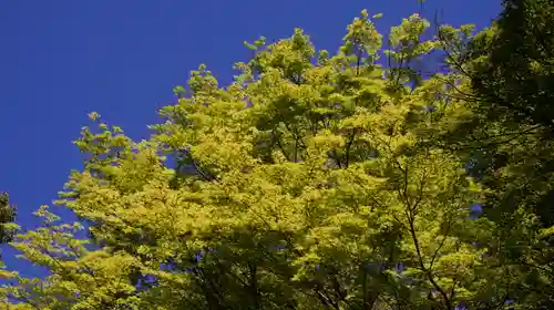 詩仙堂（丈山寺）(京都府)