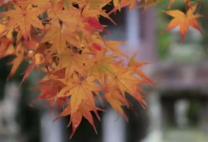 神應寺(京都府)